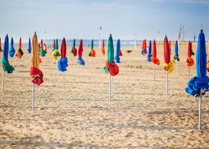 Daire Roches Normandes - Terrasse Vue Et Trouville-sur-Mer